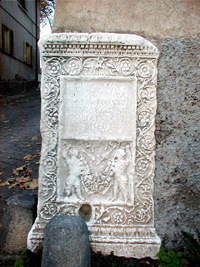 right_008.JPG