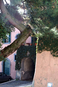 right_020.JPG
