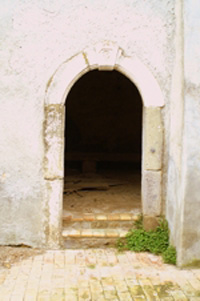 right_061.JPG