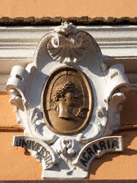 vd005.jpg