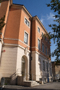 vd006.jpg