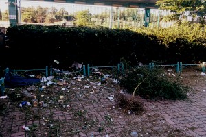DECORO DAY A CESANO: PULIZIE ALLA STAZIONE E AL BORGO