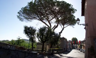 Scempio all’antico Borgo di Cesano Scempio all’antico Borgo di Cesano