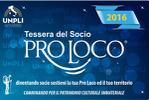 tessera