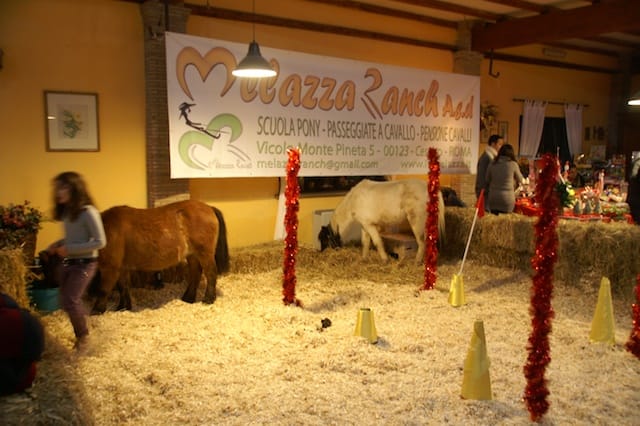 Cesano di Roma — 2012 — lamelazza — foto 2