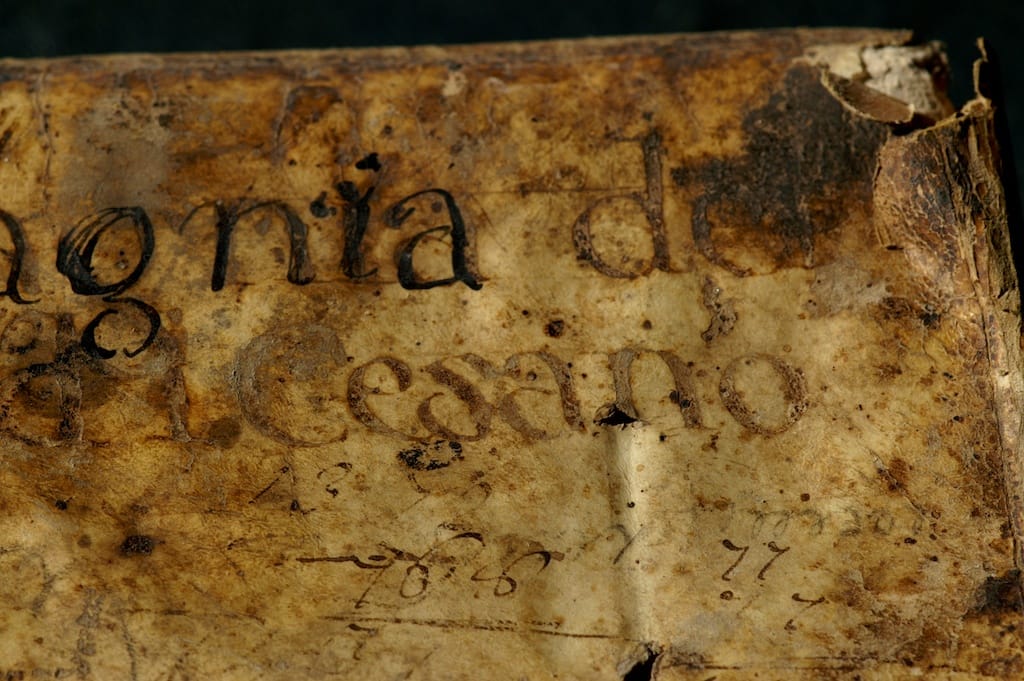Cesano di Roma — 2012 — libriconfraternita — foto 11