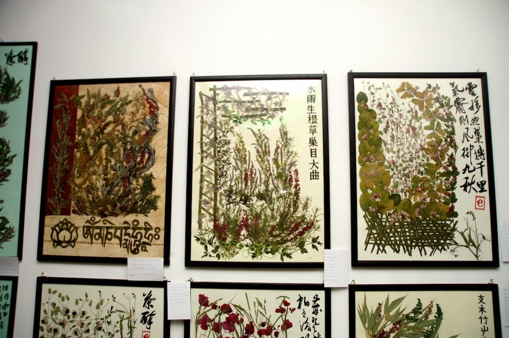 Cesano di Roma — 2012 — mostra — foto 2