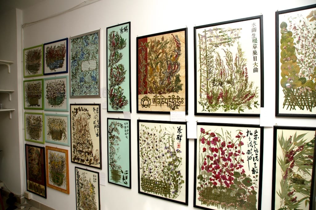 Cesano di Roma — 2012 — mostra — foto 4