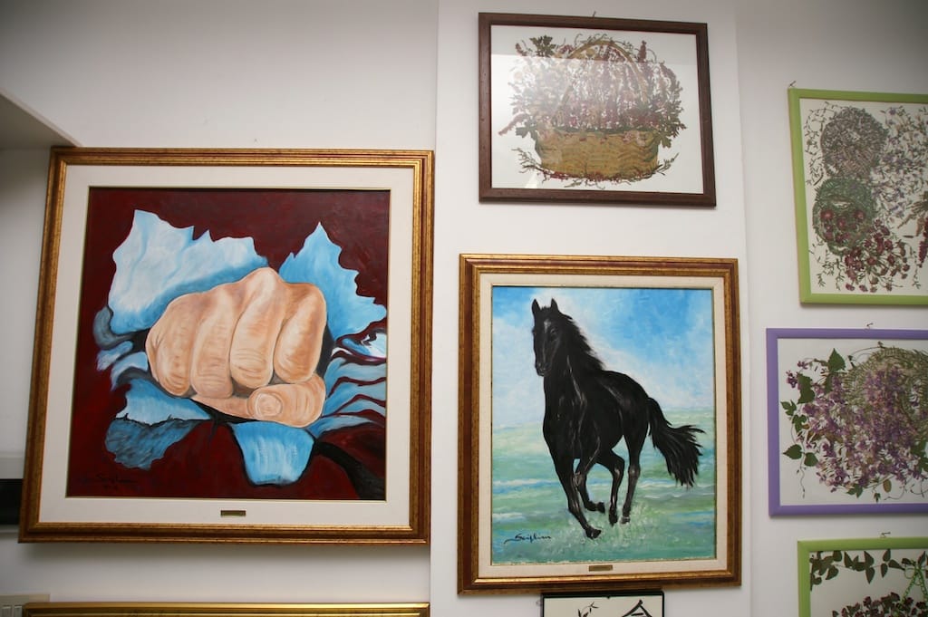 Cesano di Roma — 2012 — mostra — foto 7