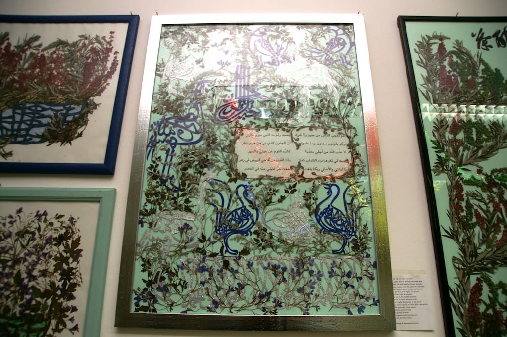 Cesano di Roma — 2012 — mostra — foto 18