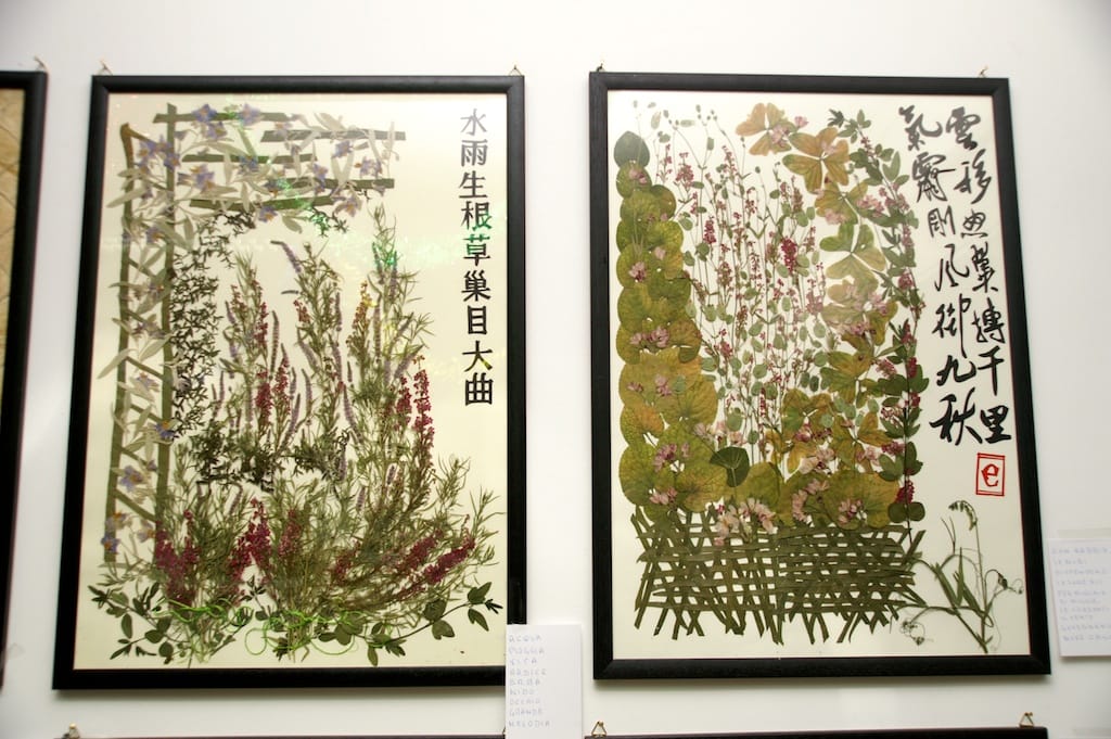 Cesano di Roma — 2012 — mostra — foto 20