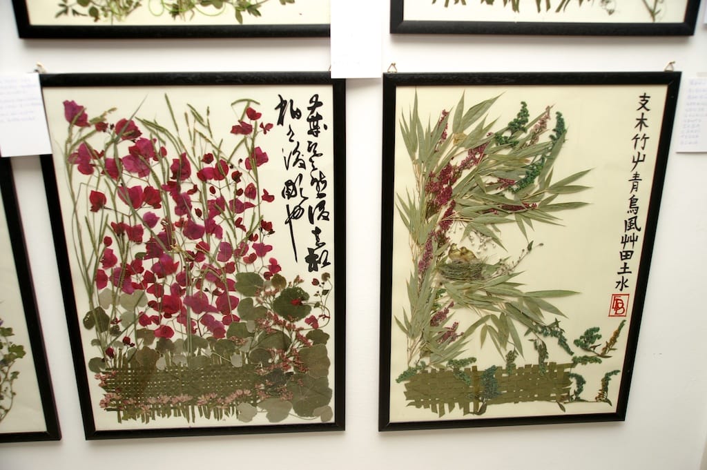Cesano di Roma — 2012 — mostra — foto 21