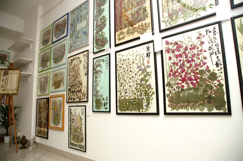 Cesano di Roma — 2012 — mostra — foto 23