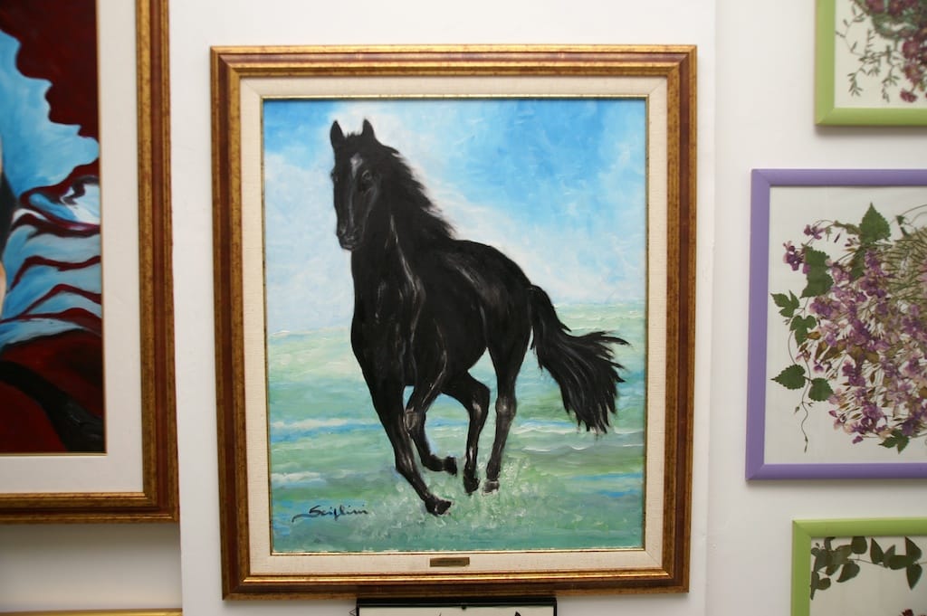 Cesano di Roma — 2012 — mostra — foto 28