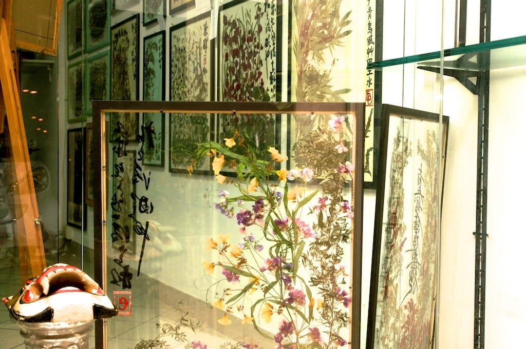 Cesano di Roma — 2012 — mostra — foto 39