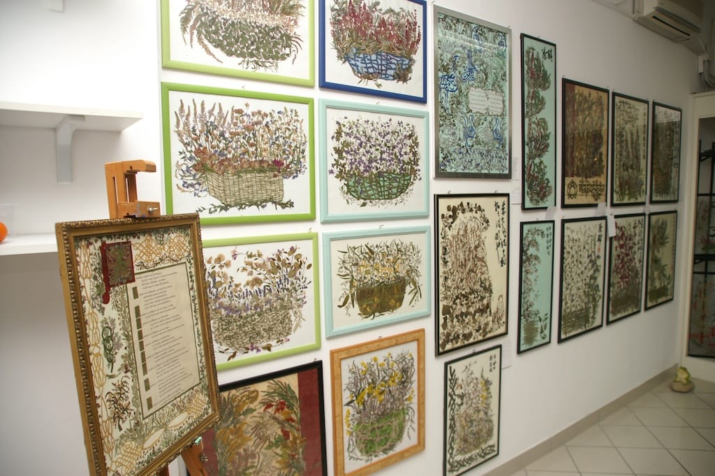 Cesano di Roma — 2012 — mostra — foto 45