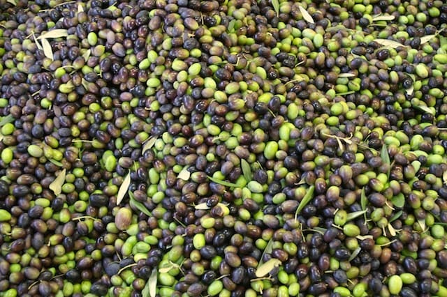 Cesano di Roma — 2012 — olio — foto 4