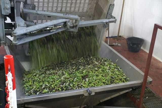 Cesano di Roma — 2012 — olio — foto 5