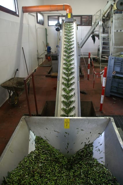 Cesano di Roma — 2012 — olio — foto 6