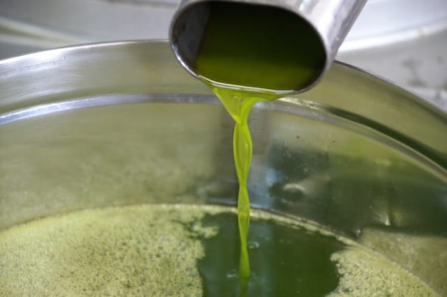 Cesano di Roma — 2012 — olio — foto 8