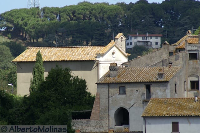 Cesano di Roma — 2012 — sannicola — foto 1