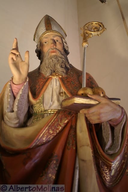 Cesano di Roma — 2012 — sannicola — foto 36