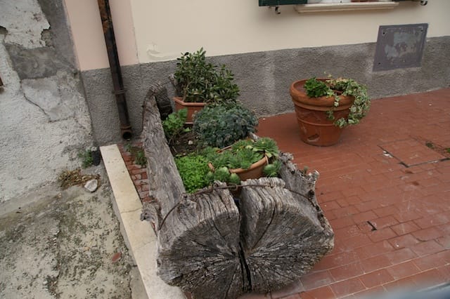 Cesano di Roma — 2012 — santuariosgabriele — foto 161