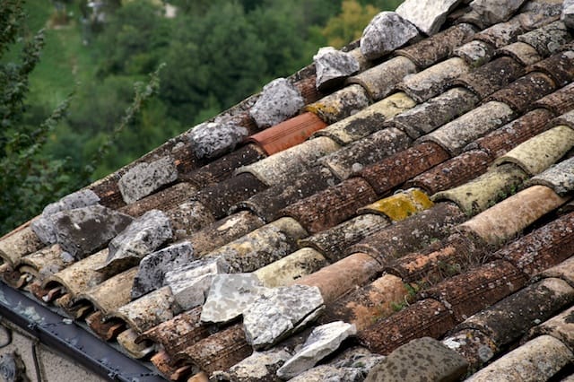 Cesano di Roma — 2012 — santuariosgabriele — foto 211
