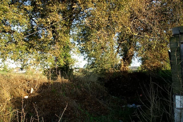 Cesano di Roma — 2012 — sgombero — foto 23