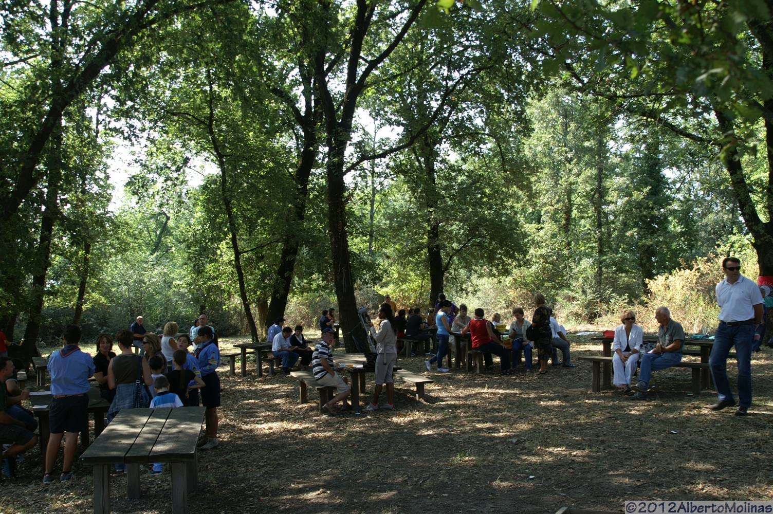 Cesano di Roma — 2012 — sscrocifisso — foto 1