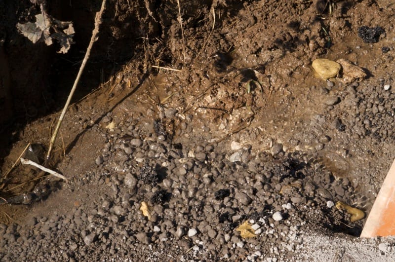 Cesano di Roma — Foto dal sito — foto 12