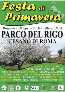 Cesano di Roma — Foto dal sito — foto 26