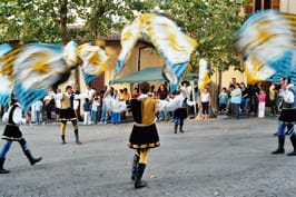 Cesano di Roma — Foto dal sito — foto 97