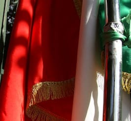 Cesano di Roma — Foto dal sito — foto 147