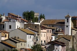Cesano di Roma — Foto dal sito — foto 158