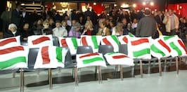 Cesano di Roma — Foto dal sito — foto 161