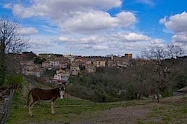 Cesano di Roma — Foto dal sito — foto 165