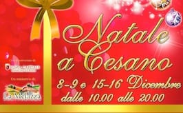 Cesano di Roma — Foto dal sito — foto 167