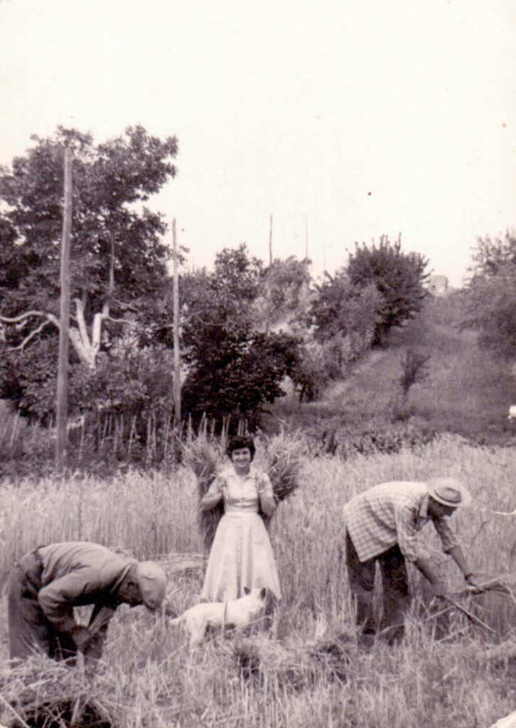 Cesano di Roma — Foto dal sito — foto 209