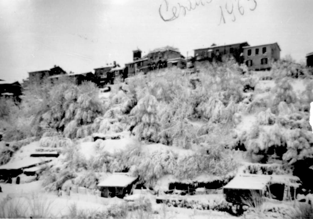 Cesano di Roma — Foto dal sito — foto 218