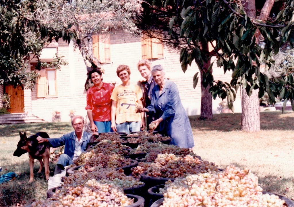 Cesano di Roma — Foto dal sito — foto 220