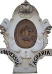 Cesano di Roma — Foto dal sito — foto 259