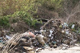 Cesano di Roma — Foto dal sito — foto 267