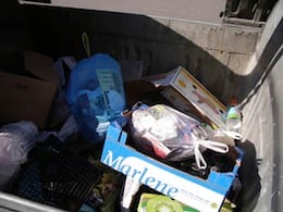 Cesano di Roma — Foto dal sito — foto 338