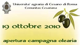 Cesano di Roma — Foto dal sito — foto 404