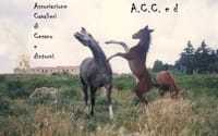 Cesano di Roma — Foto dal sito — foto 420