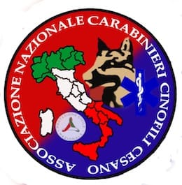 Cesano di Roma — Foto dal sito — foto 455