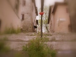 Cesano di Roma — Foto dal sito — foto 492
