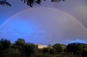 Cesano di Roma — Foto dal sito — foto 515