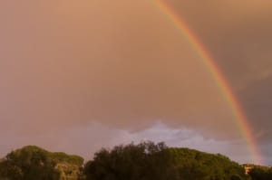 Cesano di Roma — Foto dal sito — foto 516